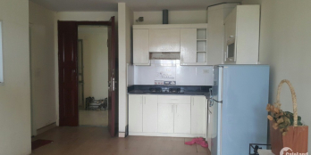 Cho thuê 2 cc CT13b ciputra 53m2, CT2 nam cường 91m2 7tr5