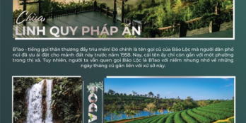 LỘ DIỆN CỰC PHẨM ĐẤT NỀN SỔ ĐỎ “ĐỐN TIM” NHÀ ĐẦU TƯ