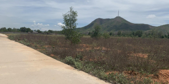 Chính chủ bán lô đất 1000m2 , giá siêu hot chỉ 750tr/nền  . ĐÃ CÓ SỔ