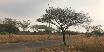 Đất nền Thung Lũng Xanh Long Thành Đồng Nai chính chủ sổ hồng riêng thương lượng