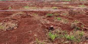 Dự án tiềm năng nằm vị trí trung tâm huyện Xuân Lộc