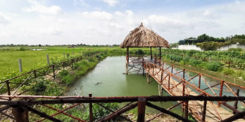 Chính chủ cần bán gấp đất thổ vườn Đa Phước Bình Chánh, sổ hồng riêng 4tr/m2