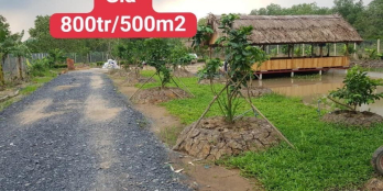 Đất vườn ở Sài Gòn giá 1,6tr/m2, Sổ riêng công chứng ngay!