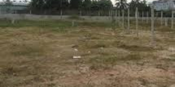 Sang nhanh 600m2 đất vườn lô góc,có 100m2 thổ cư,ngay kcn Tây Bắc,SHR,800 triệu