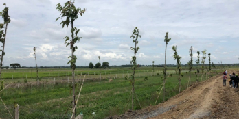 Đất Sài Gòn 500m2 chỉ từ 700tr LH 0909455578