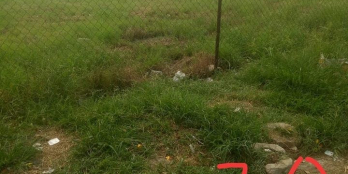 Mặt Tiền Đường 577 đang Có Lô Đất 450m2, giá 1.5tr/m2 Sổ Riêng