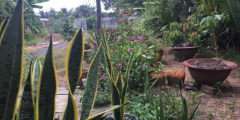 Bán đất mặt tiền đường nhựa 92E, Đạo Thạnh, Mỹ Tho, Tiền Giang