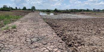 Chính chủ bán đất xã Phước KhánhNhơn Trạch shr,400tr/1000m cắt đc 3 lô