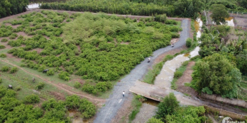 hơn 1000m đất sát đường Cát Lái-Q2 có sẵm Đ.xe hơi tới tận đất giá chỉ 1.5tr/m2