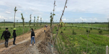 Đất Hồ Chí Minh giá tốt chỉ 7xxtr