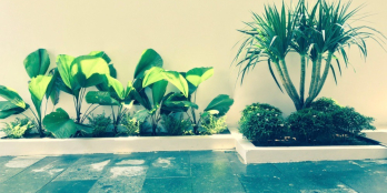 Bán căn Biệt thự ven Sông Hàn, trung tâm quận Hải Châu, Tp. Đà Nẵng