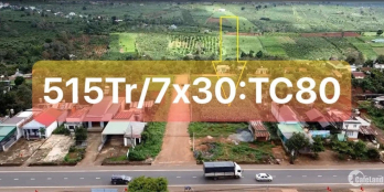 Gần TT thị trấn Di Linh - Lâm Đồng. Sát quốc lộ 20. 7x30m. thổ cư 80. 515tr