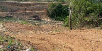 Bán đất đường Nguyễn Hữu Cảnh - Nhơn trạch giá Fo: 4.5tr/m2