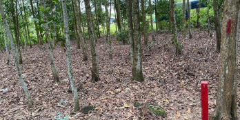 Bán 500m2 đất Long Tân - Nhơn Trạch gần swan part và Lý Thái Tổ