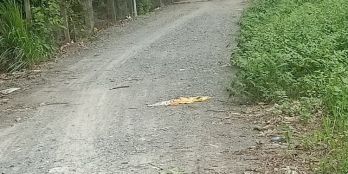 Bán đất hẻm 178 Huỳnh Văn Lũy Phú Lợi Thủ Dầu Một. DT 380m2(9x35, nở hậu)