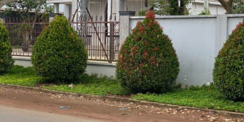 Dự án đất ở khu nông thôn mới khu vực trảng bom