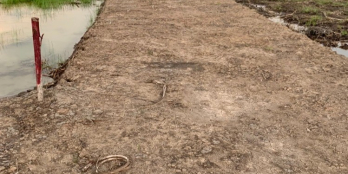 Bán gấp 4 lô đất đẹp khu vực Phước Khánh giá tốt trong ngày