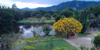 Bán đât vườn diện tích lớn thuận tiện làm nhà xưởng hoặc lập dự án