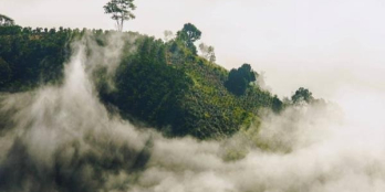 Đất biệt thự mặt tiền đường tránh QL 20 rộng 6 làn xe,view thoáng núi Đại Bình