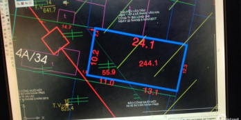 Đất Bình Chánh 740 mét vuông. Mặt tiền đường Thanh Niên