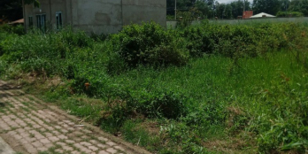 Cần bán lô đất mt song hành 90m2 SHR giá 1ty3