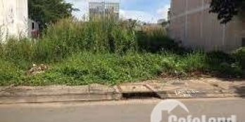 Gia đình em cần bán đất để về quê