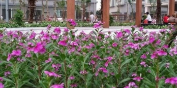 CĂN HỘ  ĐÃ XÂY XONG CHỈ CẦN CÓ TIỀN LÀ VÀO Ở