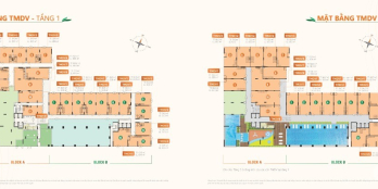 Bán căn hộ TMDV - Shophouse  Ricca Quận 9. Giá từ 38 triệu/m2, chỉ TT 1.5%/tháng