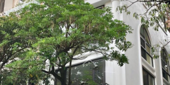 NHÀ MẶT PHỐ CHÙA LÁNG MẶT TIỀN KHỦNG - VIP ĐỐNG ĐA - KINH DOANH ĐỈNH