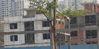 Cần bán căn B3 dự án An Phú New City, MT Nguyễn Hoàng, Quận 2_Lh 0901 540 862