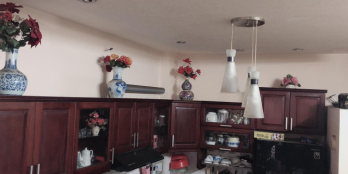 Bán nhà Bành Văn Trân, Tân Bình, 42 m2, tặng hết nội thất xịn