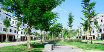 Bán Đất Nền Trung Tâm Thành Phố Quảng Ngãi- 0394 570 554