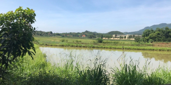 Chính chủ bán gấp lô đất 3240m2, Minh Quang,Ba Vì,Hà Nội.LH Thu Hương:0975349726