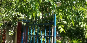 Bán nhà và đất Phường Tân Hạnh, thành phố Biên Hòa (nhà hàng sân vườn/phân lô)