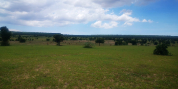 Bán gấp lô đất 12ha ven biển Bình Thuận, giá siêu rẻ siêu phù hợp cho dân đầu tư