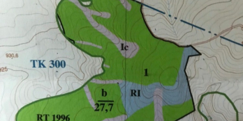 Cần San Nhượng gấp Dự Án 27 ha Đất Trồng Rừng Sản Xuất tại Đức Trọng Giá 3,5 tỷ