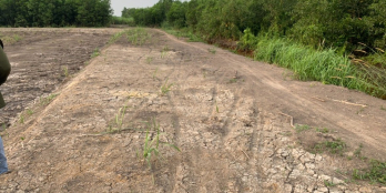 Nếu AC có tài chính dưới 1 tỷ muốn đầu tư đất Nhơn Trạch thì hãy alo e ạ