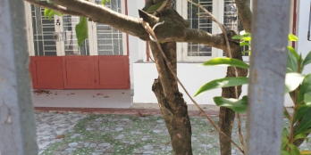 Chính Chủ Cho Thuê Nhà 1T 1Lửng Đường Xe Hơi Khu Dân Cư Phương Nam Q9