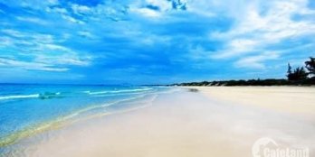 Mở bán dự án CSJ Tower Vũng Tàu