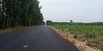 Đất sào Láng Dài, Lộc An trả quá ít được quá nhiều