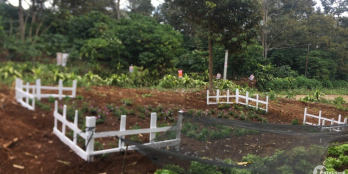 Đất Biệt Thự Nghĩ Dưỡng Trung Tâm Tp Bảo Lộc - Giá chỉ 3,7tr/m2