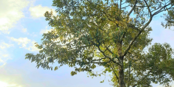 Bán nhanh mảnh đất quốc lộ 14, cạnh chợ Phú Mỹ