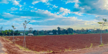 Đón Sóng Đầu Tư Đất Nền Sổ Đỏ Cạnh Khu Công Nghiệp Nam Pleiku, Giá Chủ Đầu Tư