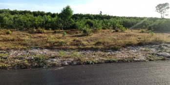 Đất sân bay Lộc An Hồ Tràm giá rẻ từ 900 triệu/500m2