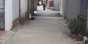 Lô rẻ nhất Kiêu Kỵ , Gia Lâm đầu tư hợp lí 44m2 chỉ 1,078 tỷ