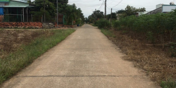 Nợ ngân hàng bán gấp đất ngay trung tâm Bàu Cạn, Long Thành. SHR. CỰC RẺ