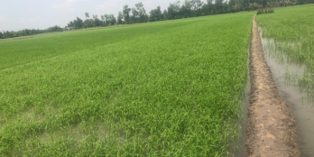 Chủ bán gấp lô đất mặt tiền đường Liên Cảng, xã Phú Hữu, Nhơn Trạch, Đồng Nai