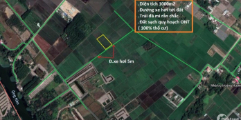 1000m2 quy hoạch 100% thổ cư đ.xe hơi tới tận đất