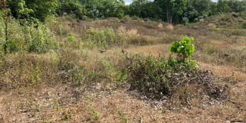 Đất xã suối cao xuân lộc đồng nai 5551m2 Cách ubnd xã 2km