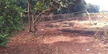 BÁN ĐẤT BIỆT THỰ NGHĨ DƯỠNG BƯNG RIÊNG